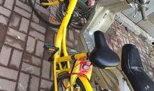 长春最新单车爆料,揭秘城市绿色出行新选择